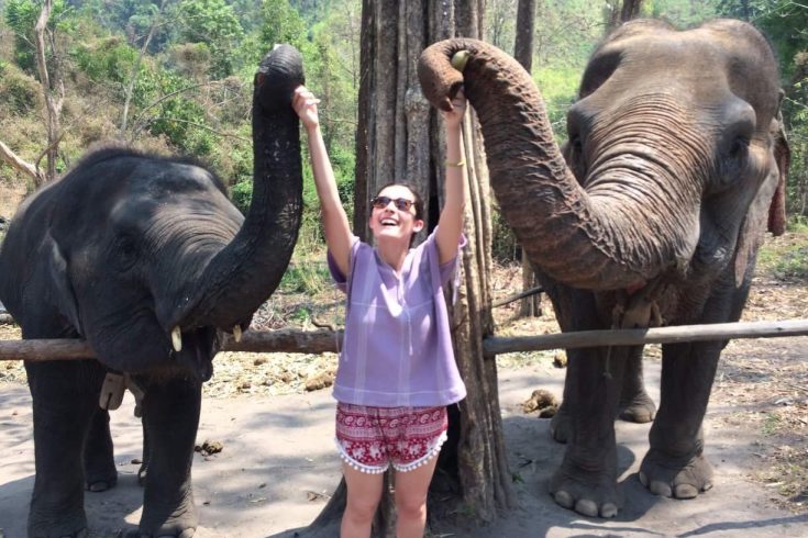 Feeding Elephants_Mercedes Santana